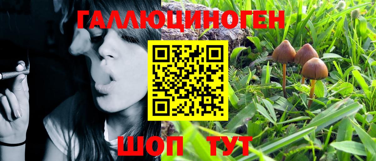Псилоцибиновые грибы GOLDEN TEACHER  Псилоцибиновые грибы Magic Shrooms  Пятигорск  Вход с VPN 